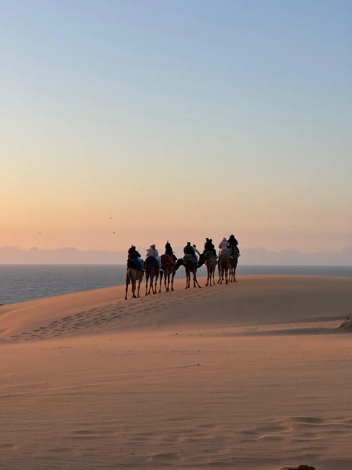 Agadir desert tour group photo